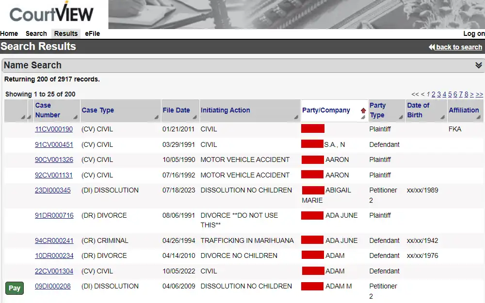 A screenshot of the search result from the Lake County Clerk of Courts page (CourtVIEW) shows case information such as case number, type, file date, initiating action, party/company name, party type, date of birth, and affiliation.