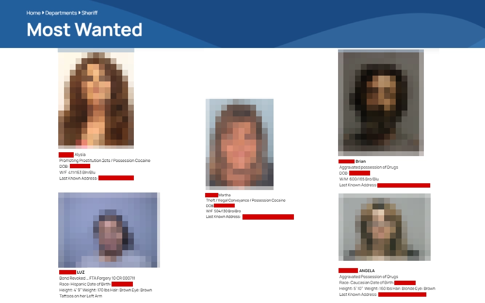 A screenshot displaying the most wanted persons from the Lake County, Ohio Sheriff’s Office showing information such as photo preview, name, offenses, date of birth, last known address, weight, height, and others.