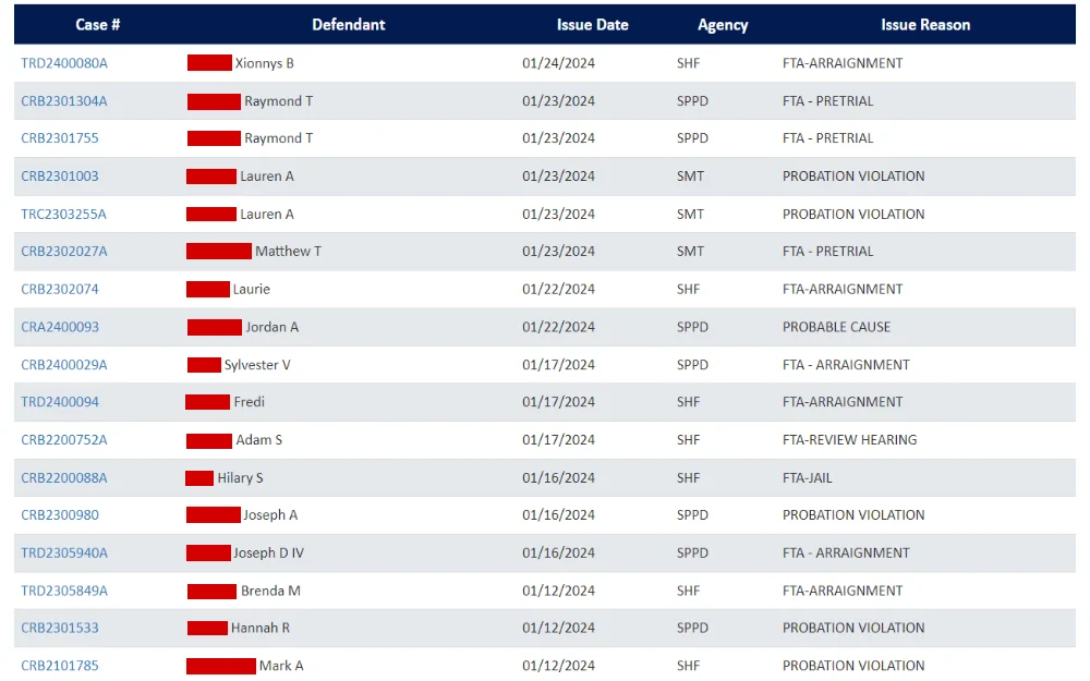 A screenshot showing an active warrant list showing information such as case number, defendant, issue date, agency and issue reason from Painesville Municipal Court.
