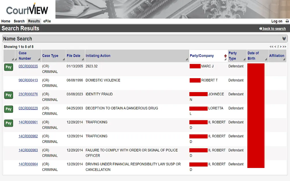 A screenshot from Lake County Clerk of Courts showing a name search displaying information such as case number, case type, file date, initiating action, party or company, party type, date of birth and affiliation.