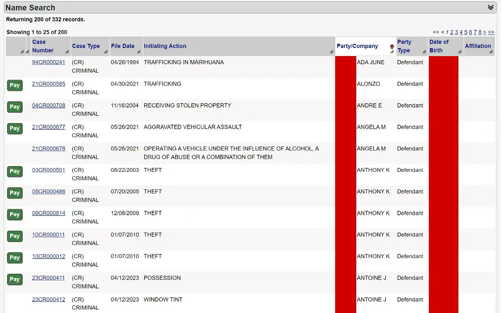 A screenshot showing a name search results displaying details such as case number, type, date filed, initiating action, party or company, party type, date of birth and affiliation.